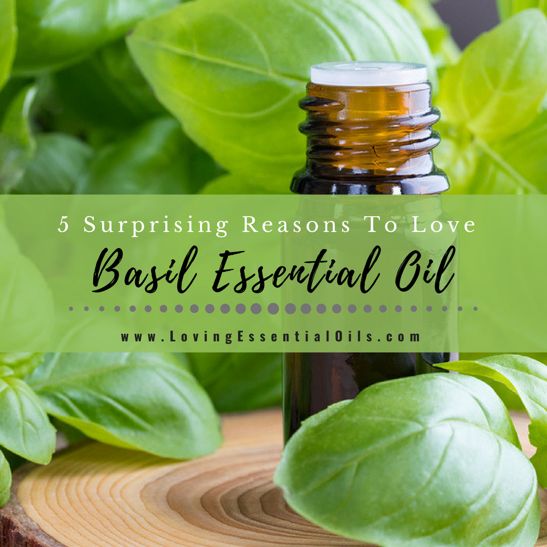 Basil Essential Oil Uses and Benefits with Diffuser Blends & DIY Recipes by Loving Essential Oils