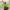 Aligning Essential Oil Blend - Rocky Mountain Review by Loving Essential Oils