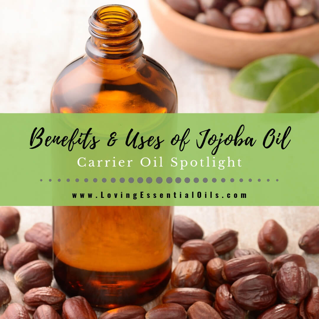 Jojoba Carrier Oil Benefits and Uses for Natural Skin Care - A Quick Guide! by Loving Essential Oils
