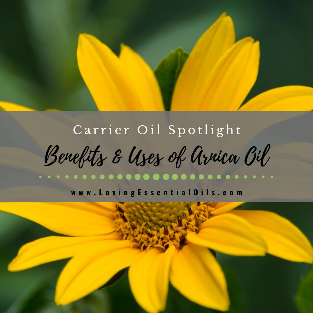 Top 6 Benefits of Arnica Oil and How to Use Safely by Loving Essential Oils