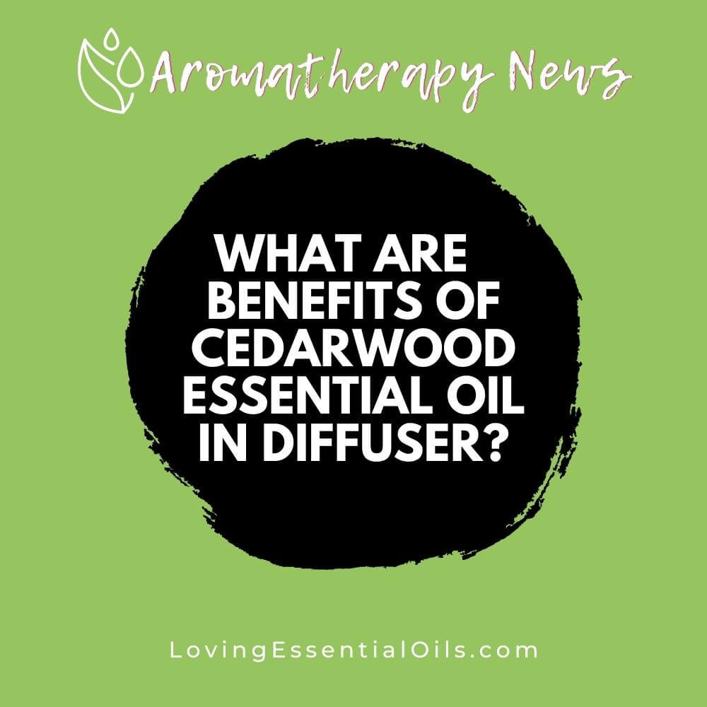 What are the Benefits of Cedarwood Essential Oil in Diffuser? by Loving Essential Oils