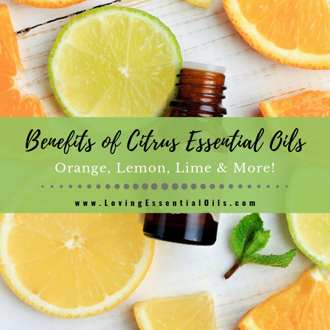 12 Benefits of Citrus Essential Oils with Orange, Lemon, Lime Recipes and Diffuser Blends! by Loving Essential Oils