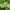 Bergamot Essential Oil Emotional Benefits by Loving Essential Oils