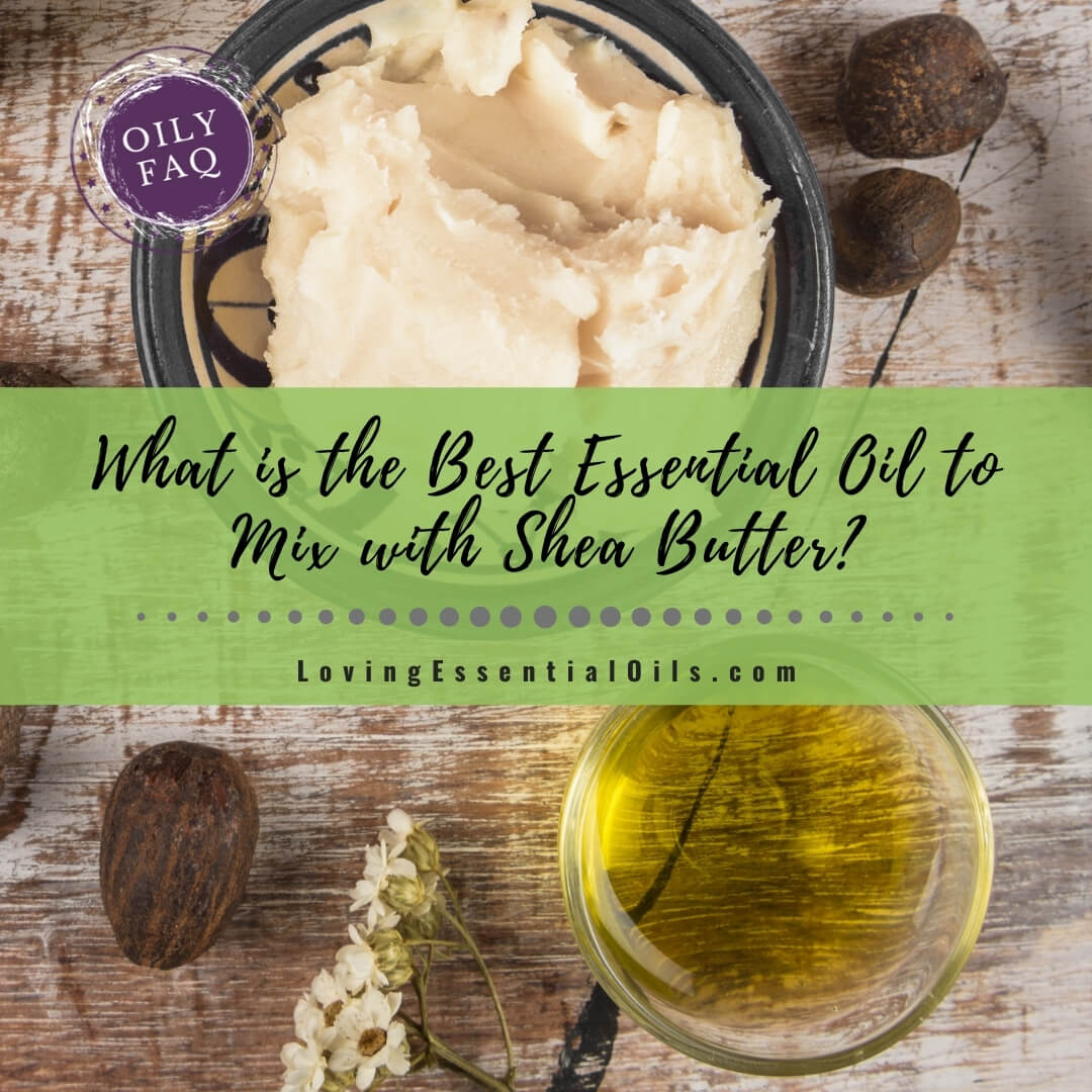 What is the Best Essential Oil to Mix With Shea Butter? by Loving Essential Oils