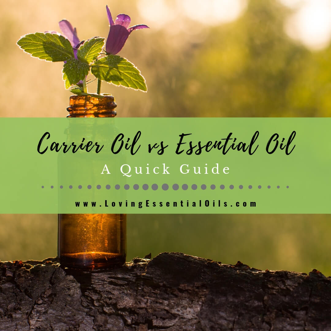 Carrier Oil vs Essential Oil - What's the Difference? A Quick Guide by Loving Essential Oils