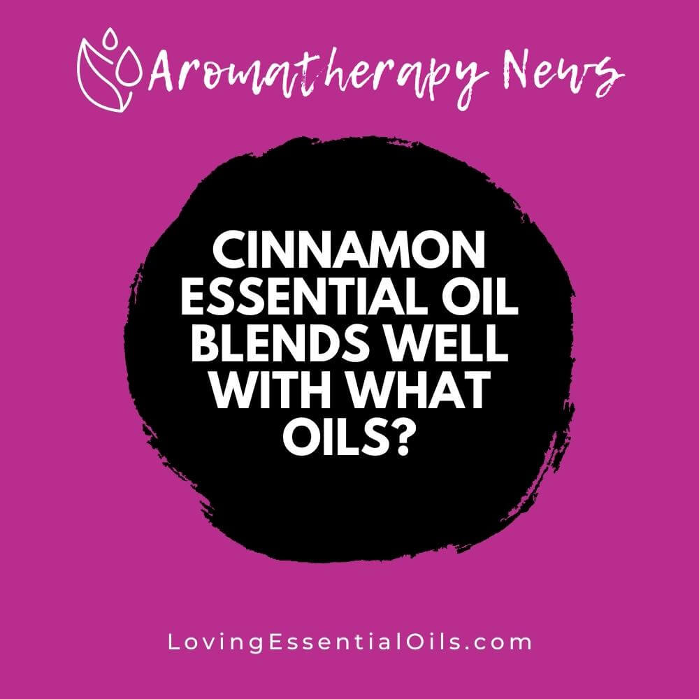 Cinnamon Essential Oil Blends Well With What Oils? by Loving Essential Oils