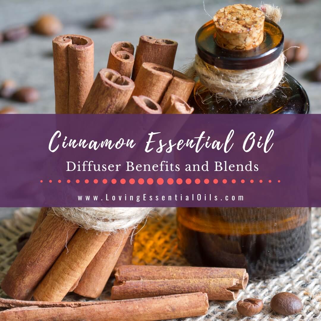 Cinnamon Essential Oil Diffuser Benefits and Blends by Loving Essential Oils