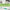 Homemade Tea Tree Oil Mouthwash with Peppermint DIY Recipes by Loving Essential Oils