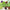 What Is Distilled Lime Essential Oil? - OILY FAQ by Loving Essential Oils