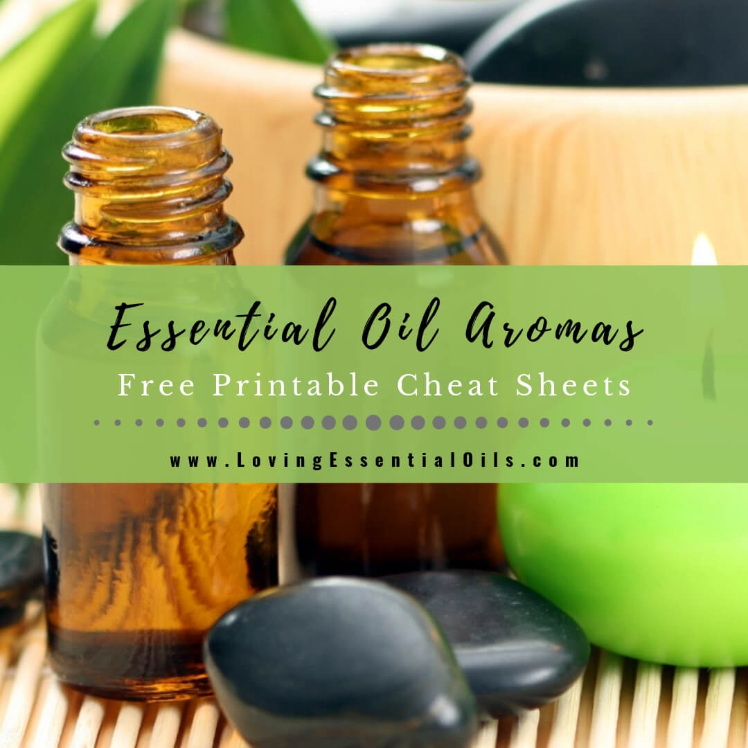 List of Essential Oil Aromas and Scents - Free Printable Cheat Sheet by Loving Essential Oils