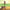 Essential Oils for Runners - The Runner's Ally for Wellbeing by Loving Essential Oils