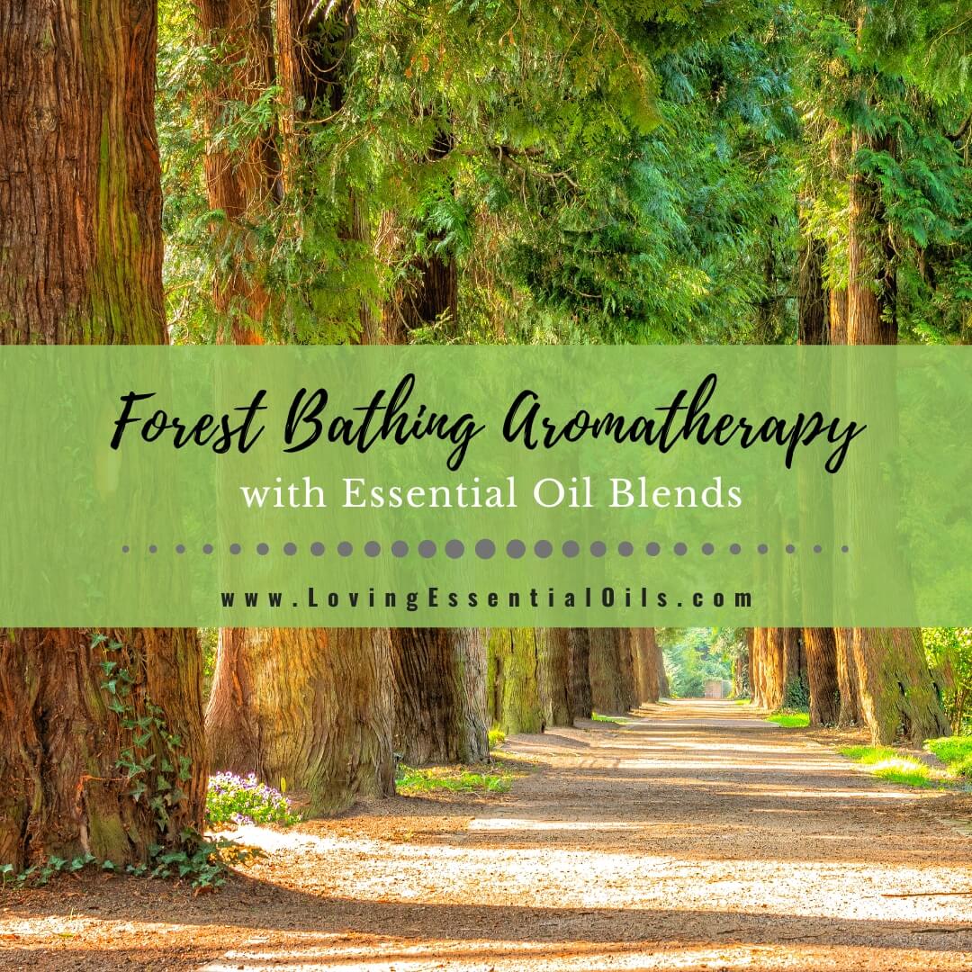Forest Bathing Aromatherapy with Essential Oil Blends