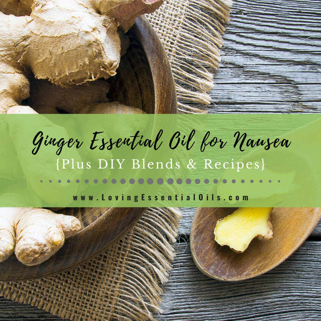 Ginger Essential Oil for Nausea Plus DIY Blends & Recipes by Loving Essential Oils