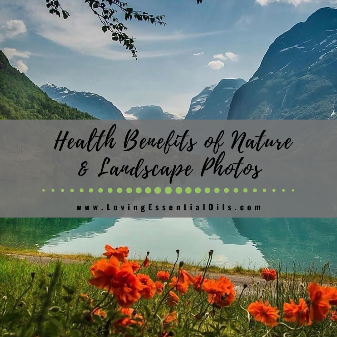 Thomas Baskind on Nature Photography: Health Benefits of Nature Photos