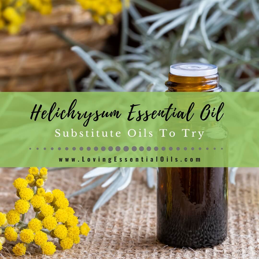 Helichrysum Essential Oil Blends Well With - Plus Substitute Oils To Try by Loving Essential Oils