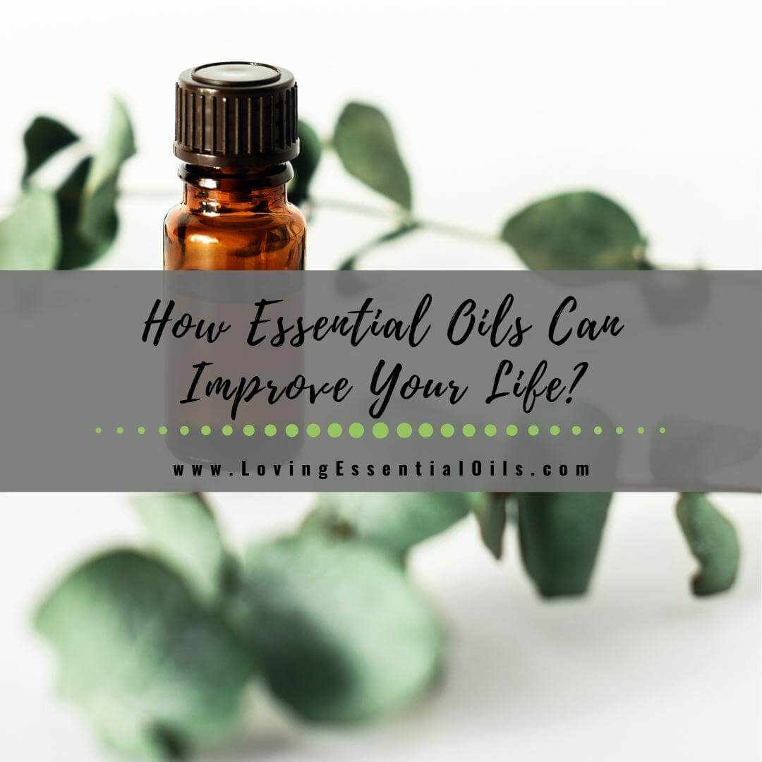 How Essential Oils Can Improve Your Life by Loving Essential Oils