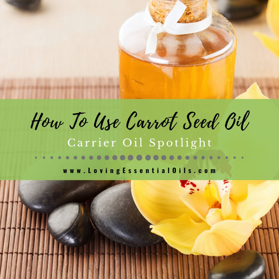 How To Use Carrot Seed Oil To Beautify Skin - Carrier Oil Spotlight by Loving Essential Oils
