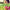 Kids Immunity Essential Oil Blend - Ready Made Roll On Review