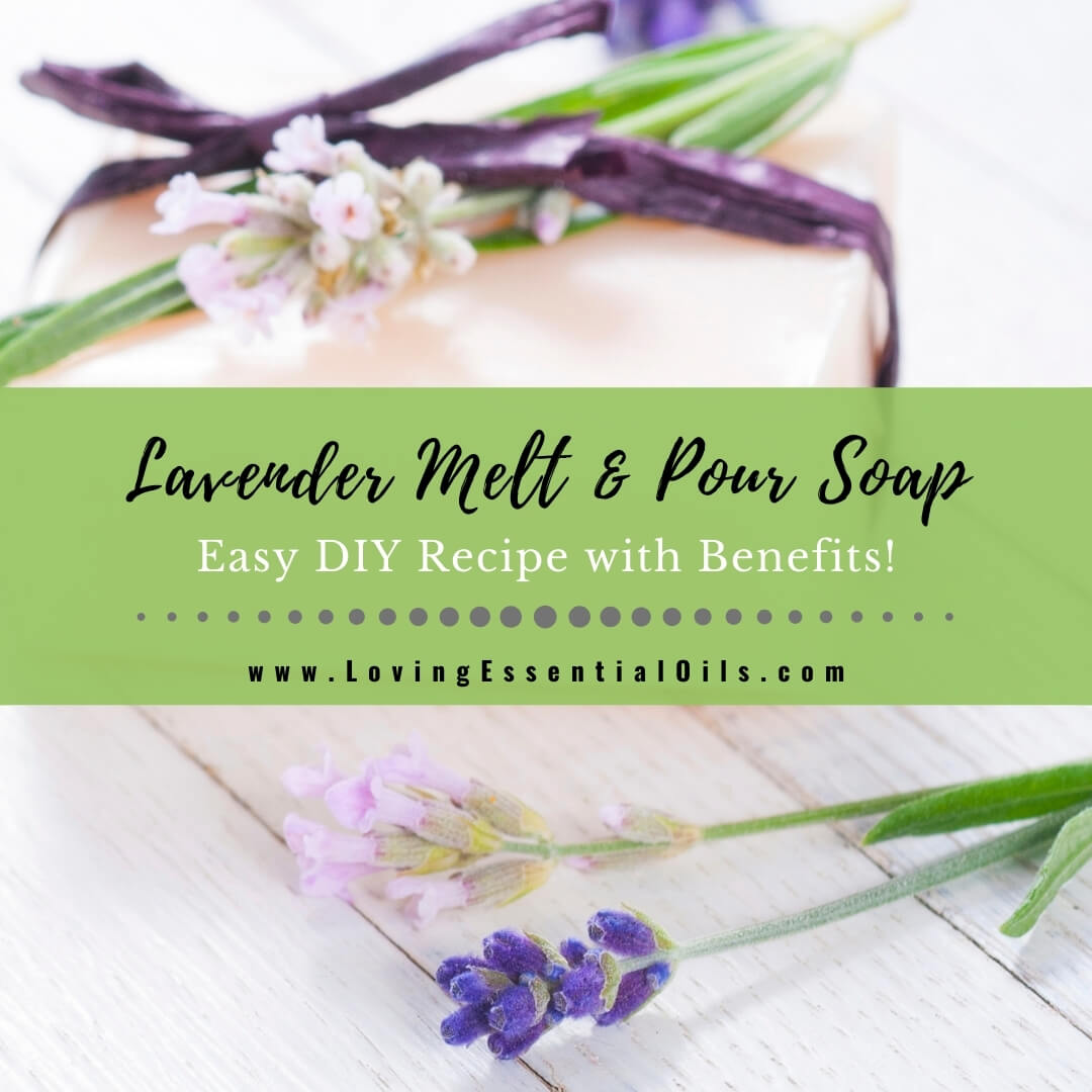 Lavender Melt and Pour Soap Recipe with Aromatherapy Benefits by Loving Essential Oils