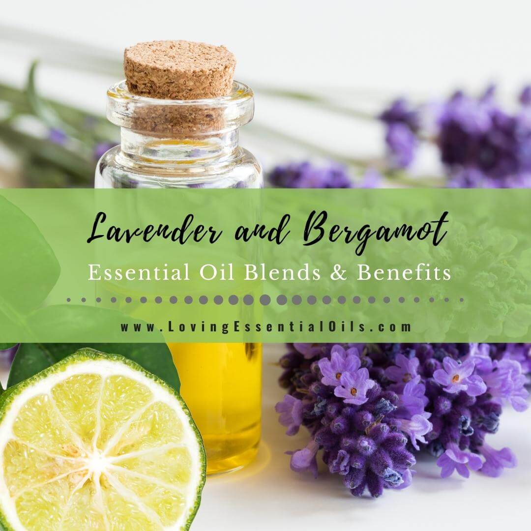 Lavender and Bergamot Benefits with Essential Oil Blend Recipes by Loving Essential Oils