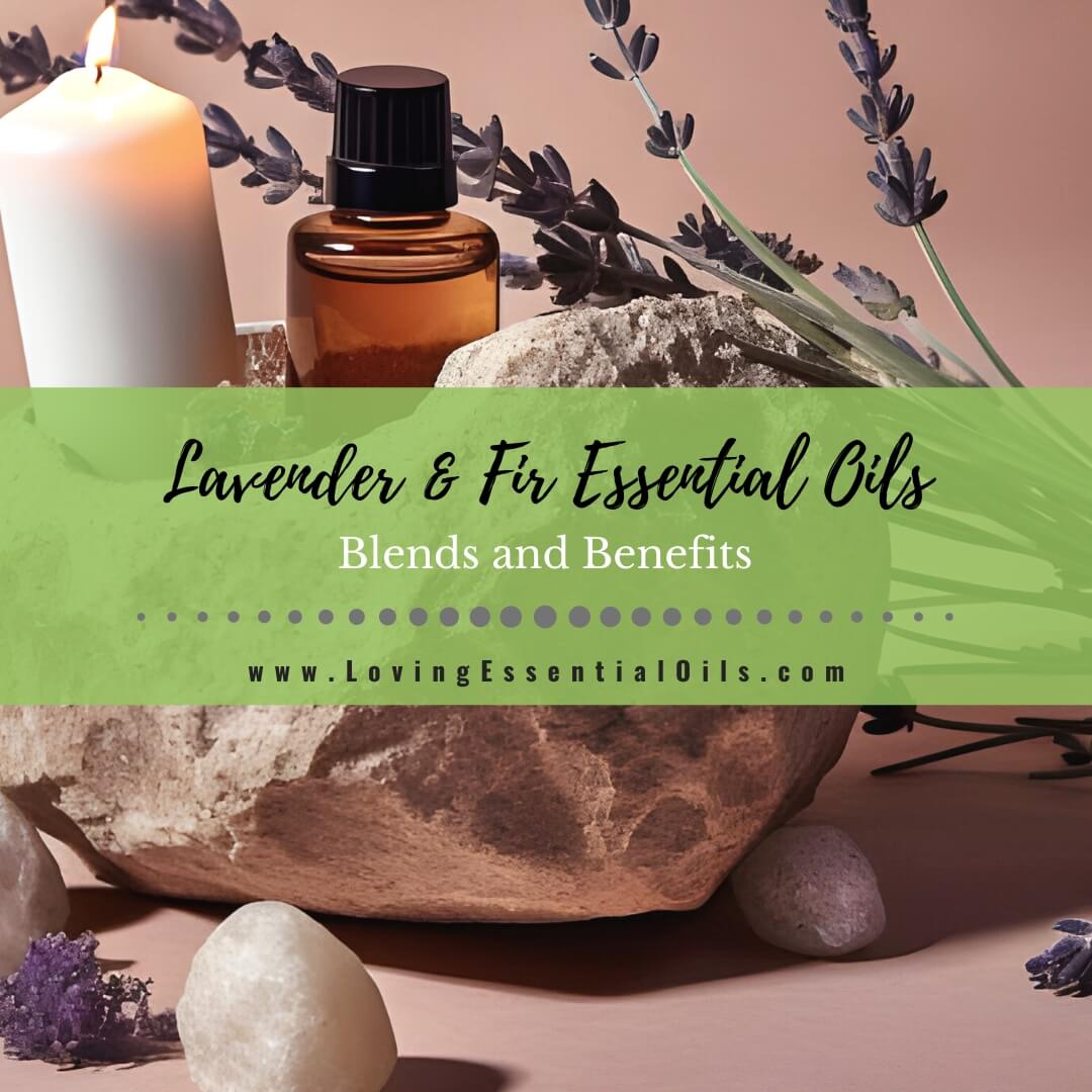 Lavender and Fir Essential Oil Blends and Benefits by Loving Essential Oils