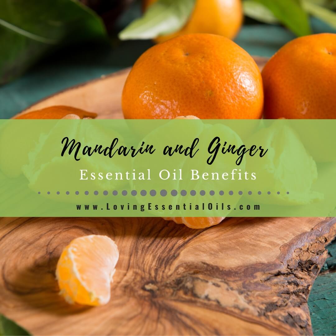 5 Mandarin and Ginger Essential Oil Benefits - Diffuser Blends by Loving Essential Oils