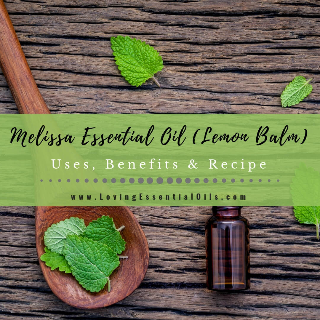 Melissa Essential Oil Benefits, Uses & Recipes - EO Spotlight by Loving Essential Oils