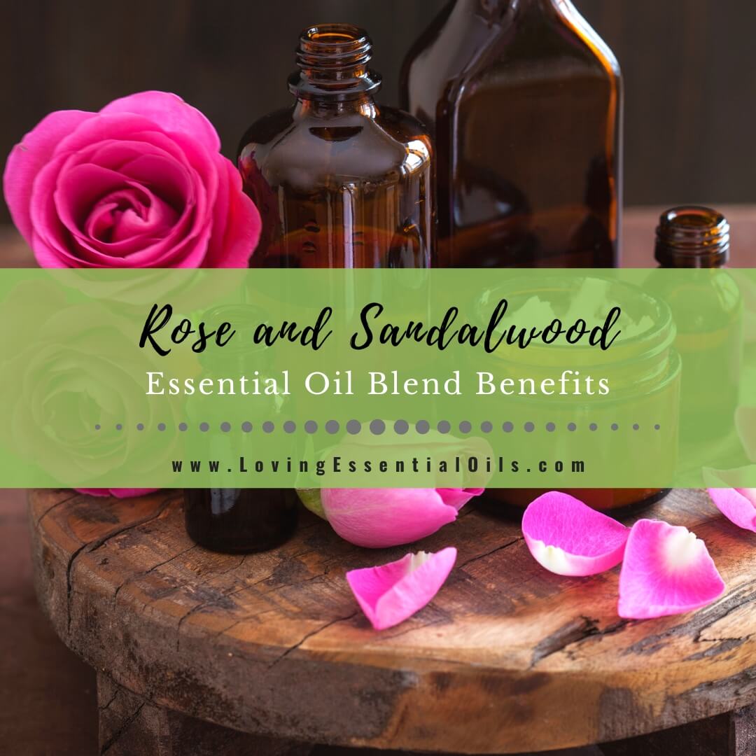 Rose and Sandalwood Essential Oil Blend Benefits by Loving Essential Oils