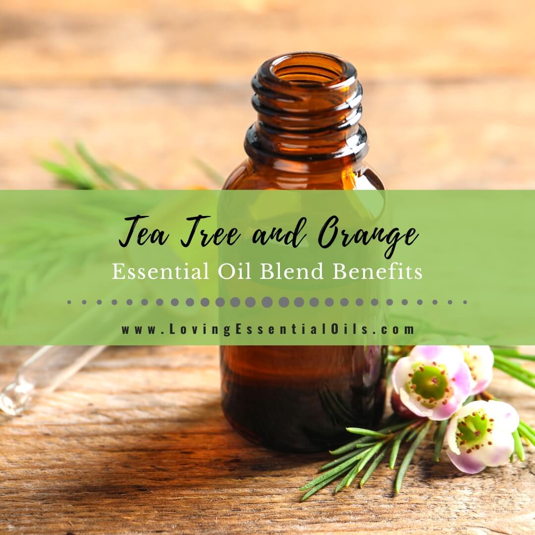 Tea Tree and Orange Essential Oil Blend Benefits by Loving Essential Oils