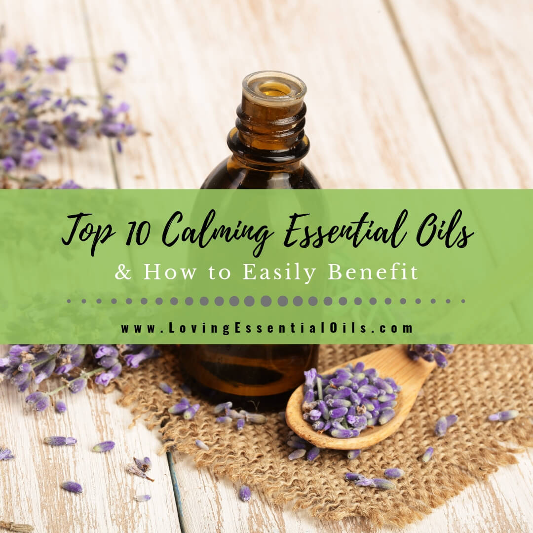 10 Best Calming Essential Oils for Anxiety with DIY Diffuser Blend by Loving Essential Oils