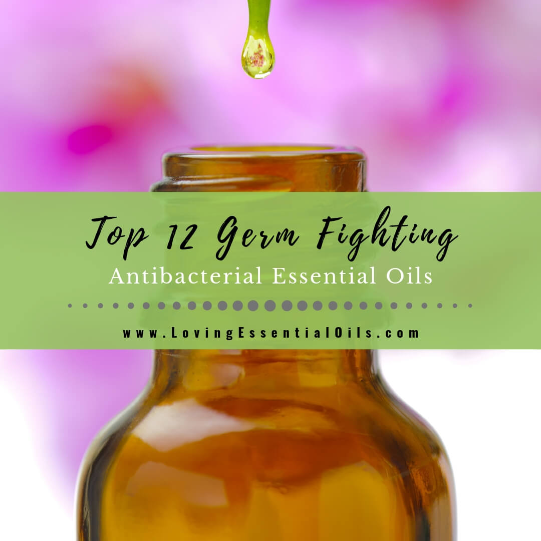 12 Germ Fighting Essential Oils with Antibacterial Diffuser Blends by Loving Essential Oils
