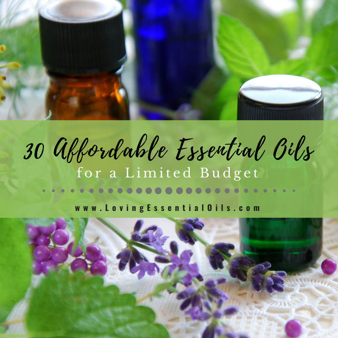 Top 30 Affordable Essential Oils for a Limited Budget with Free Printable Checklist by Loving Essential Oils