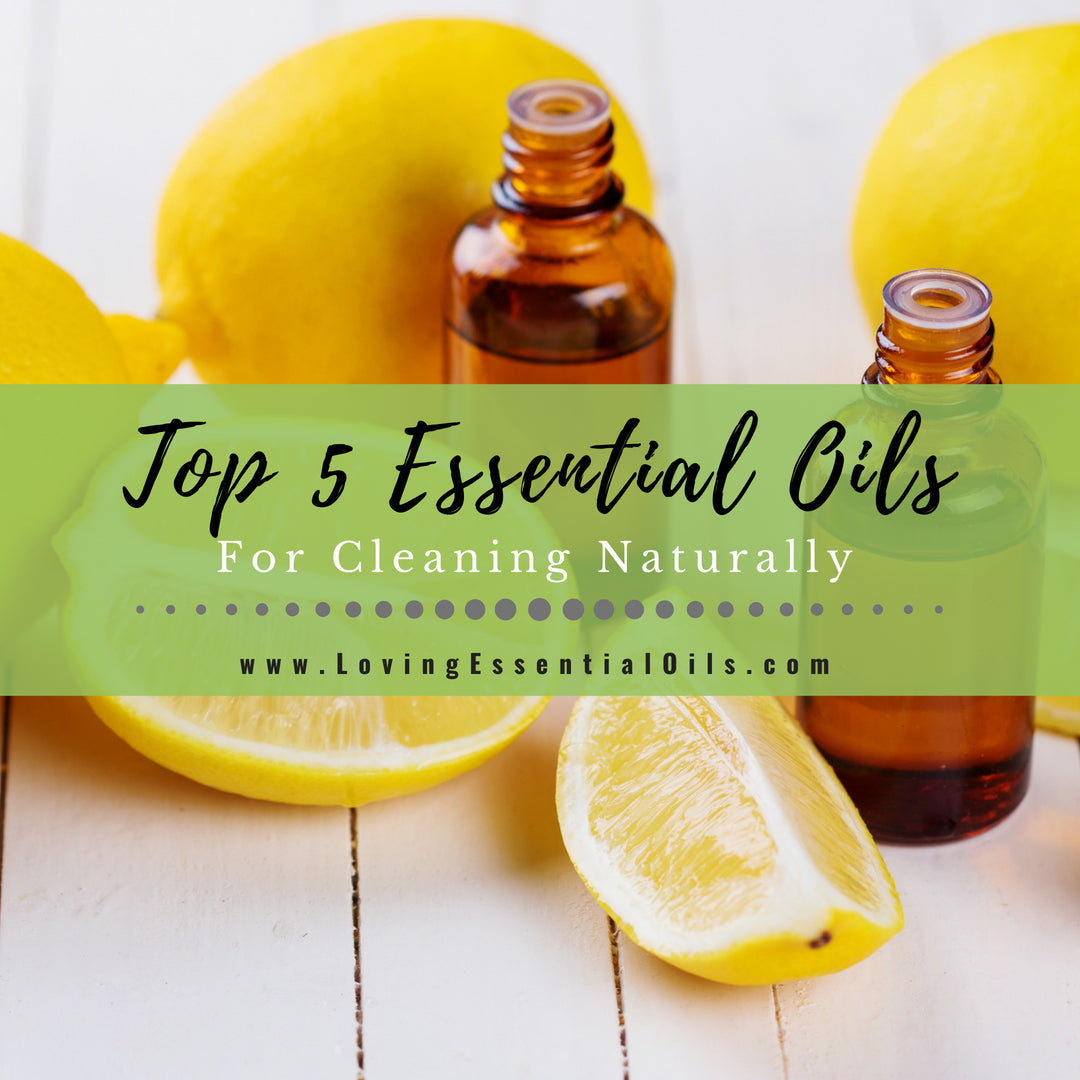 Top 5 Essential Oils for Cleaning Naturally - Lavender, lemon, peppermint, tea tree, and orange by Loving Essential Oils