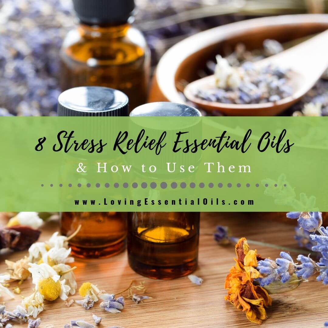 Top 8 Stress Relief Essential Oils and How to Use Them by Loving Essential Oils