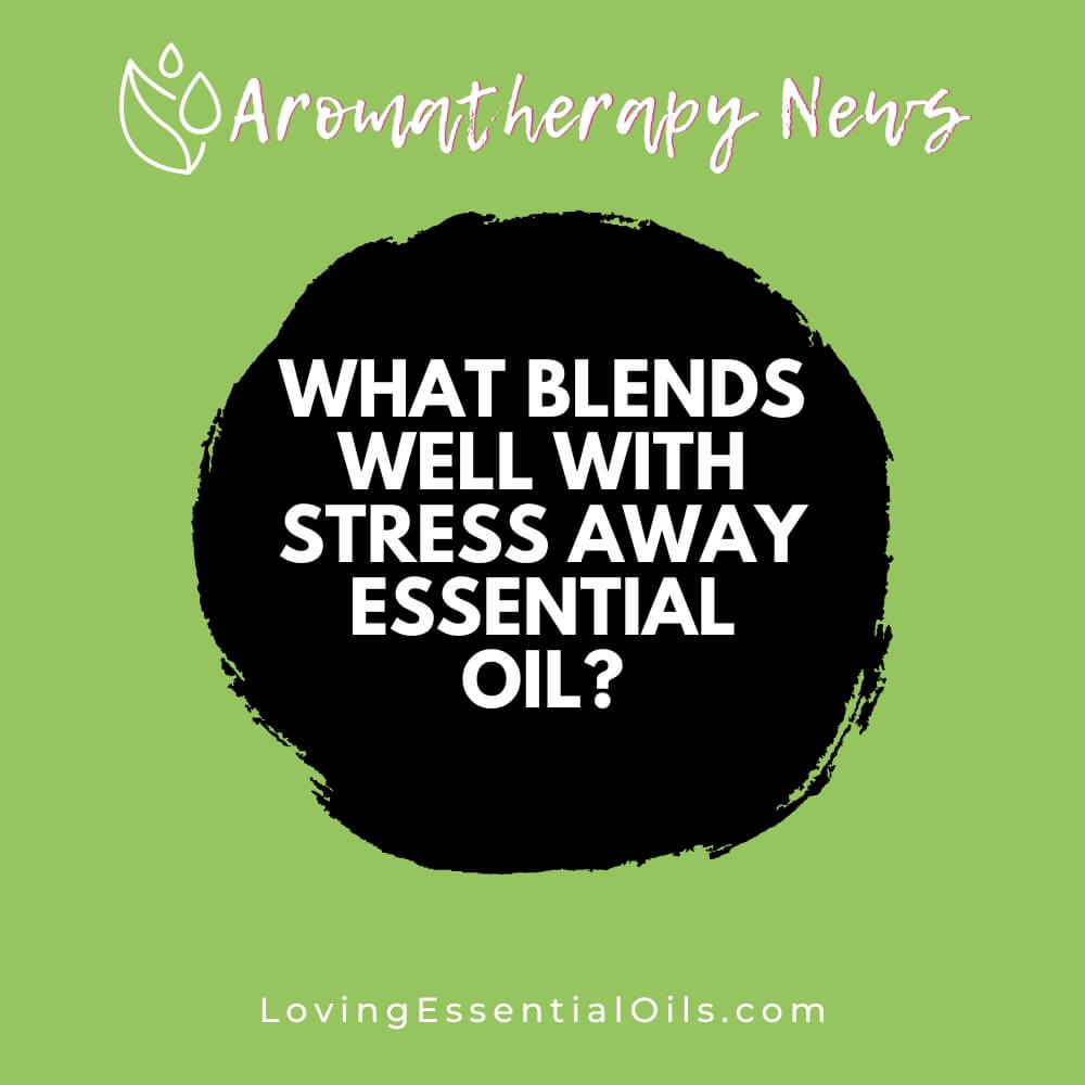 What Blends Well With Stress Away Essential Oil? by Loving Essential Oils