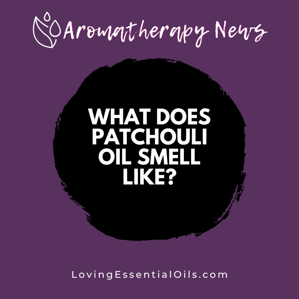 What Does Patchouli Oil Smell Like? Earthy and Musky Scent by Loving Essential Oils