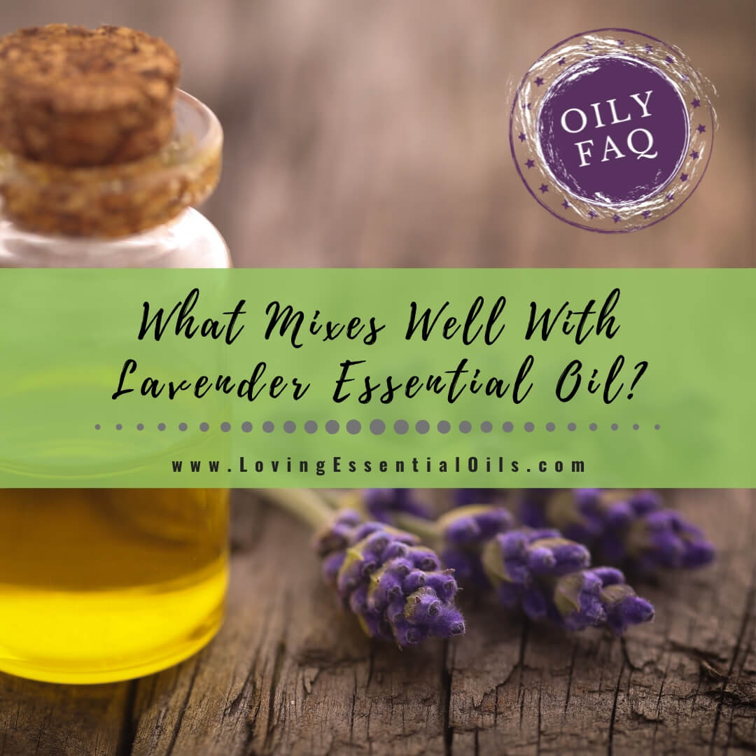What Mixes Well With Lavender Essential Oil? Oily FAQ by Loving Essential Oils