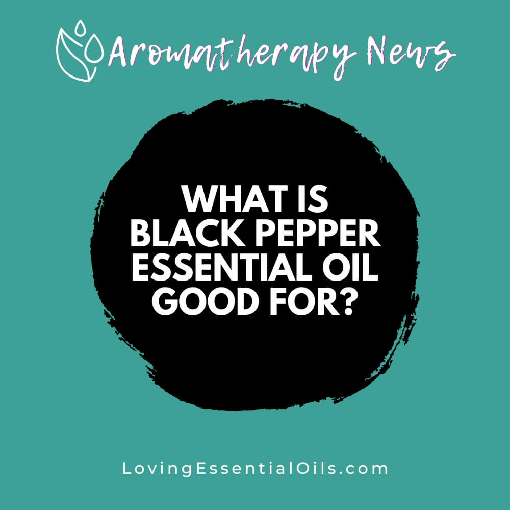What is Black Pepper Essential Oil Good For? by Loving Essential Oils