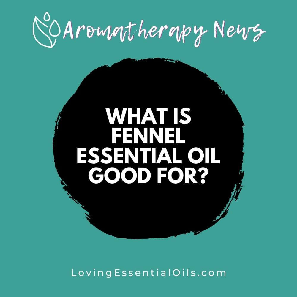 What is Fennel Essential Oil Good for? Emotional Benefits by Loving Essential Oils