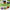 Therapeutic Essential Oils vs Certified Pure Therapeutic Grade by Loving Essential Oils