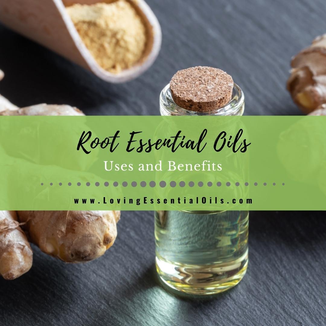 What are Root Essential Oils? Ginger, Vetiver, Spikenard by Loving Essential Oils