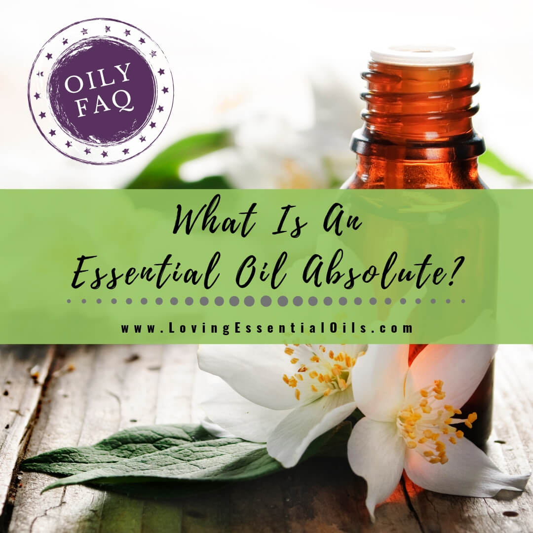 What Is An Essential Oil Absolute? - Oily FAQ by Loving Essential Oils