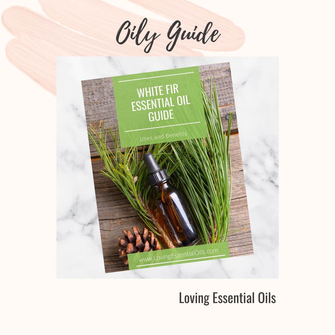 White Fir Essential Oil Guide (aka Fir Needle)