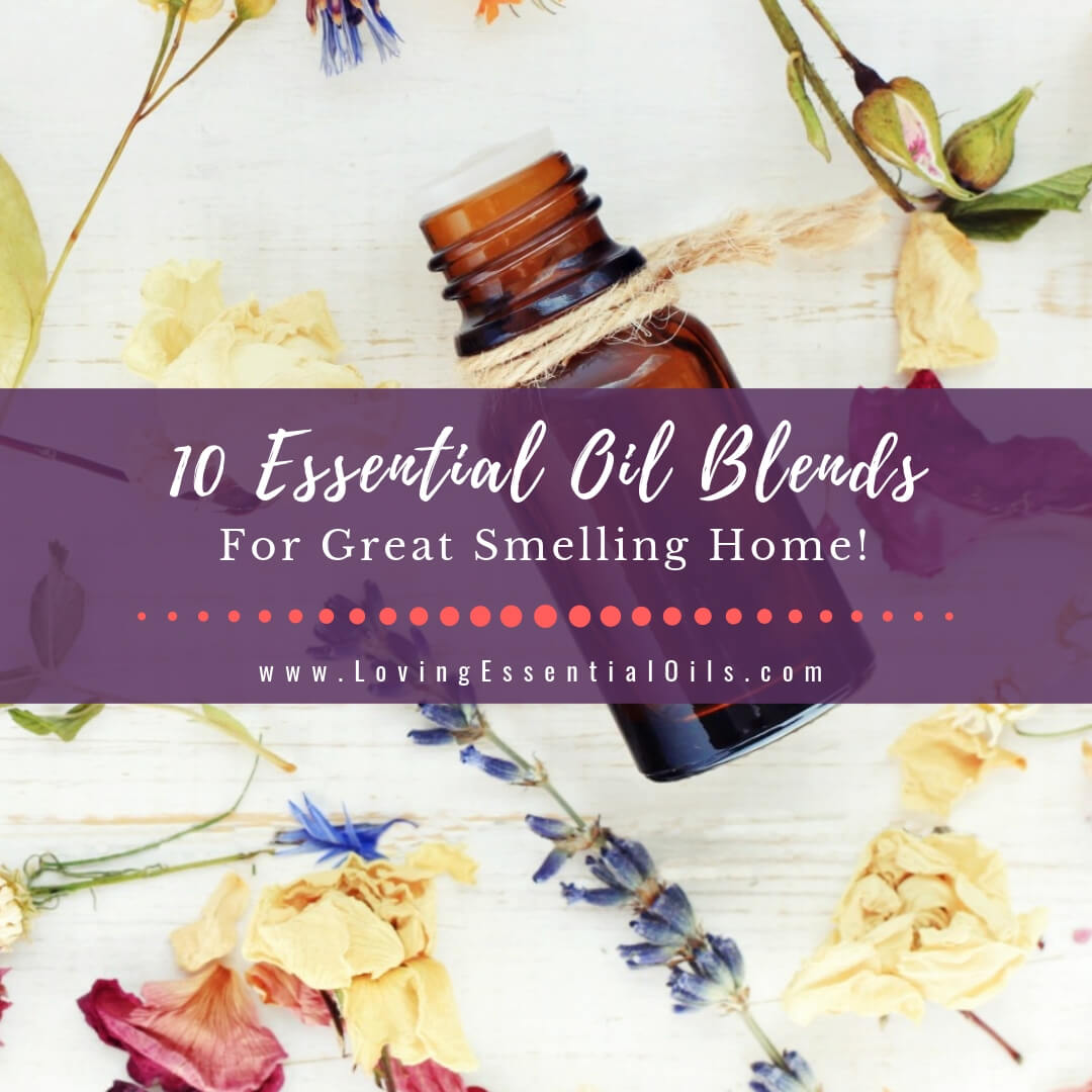 10 Essential Oil Blends For A Great Smelling Home Fragrance - Clean & Fresh by Loving Essential Oils