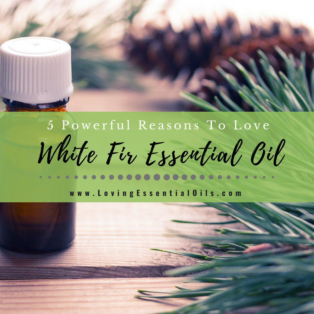 5 Powerful Reasons To Love White Fir Essential Oil by Loving Essential Oils