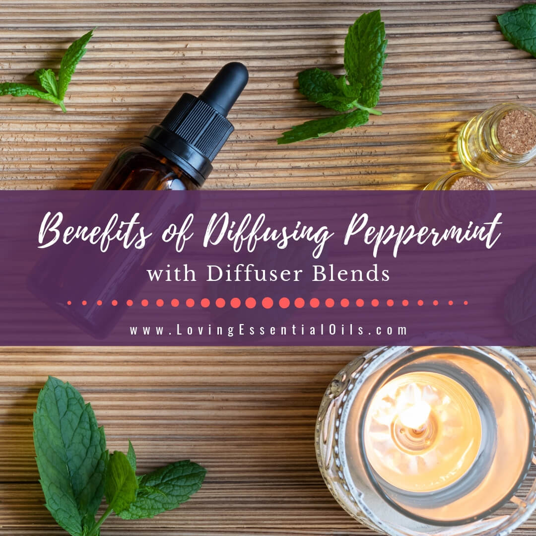 How To Make A Reed Diffuser With 10 Essential Oil Recipe Blends