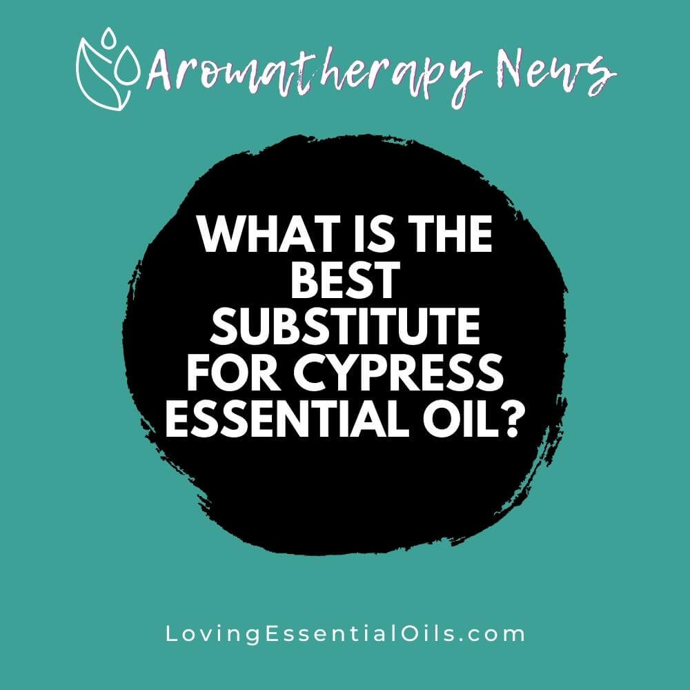 What is the Best Substitute for Cypress Essential Oil? by Loving Essential Oils