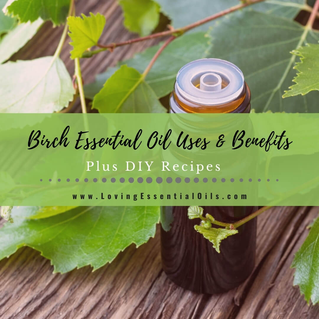 Birch Essential Oil Recipes, Uses and Benefits Spotlight by Loving Essential Oils