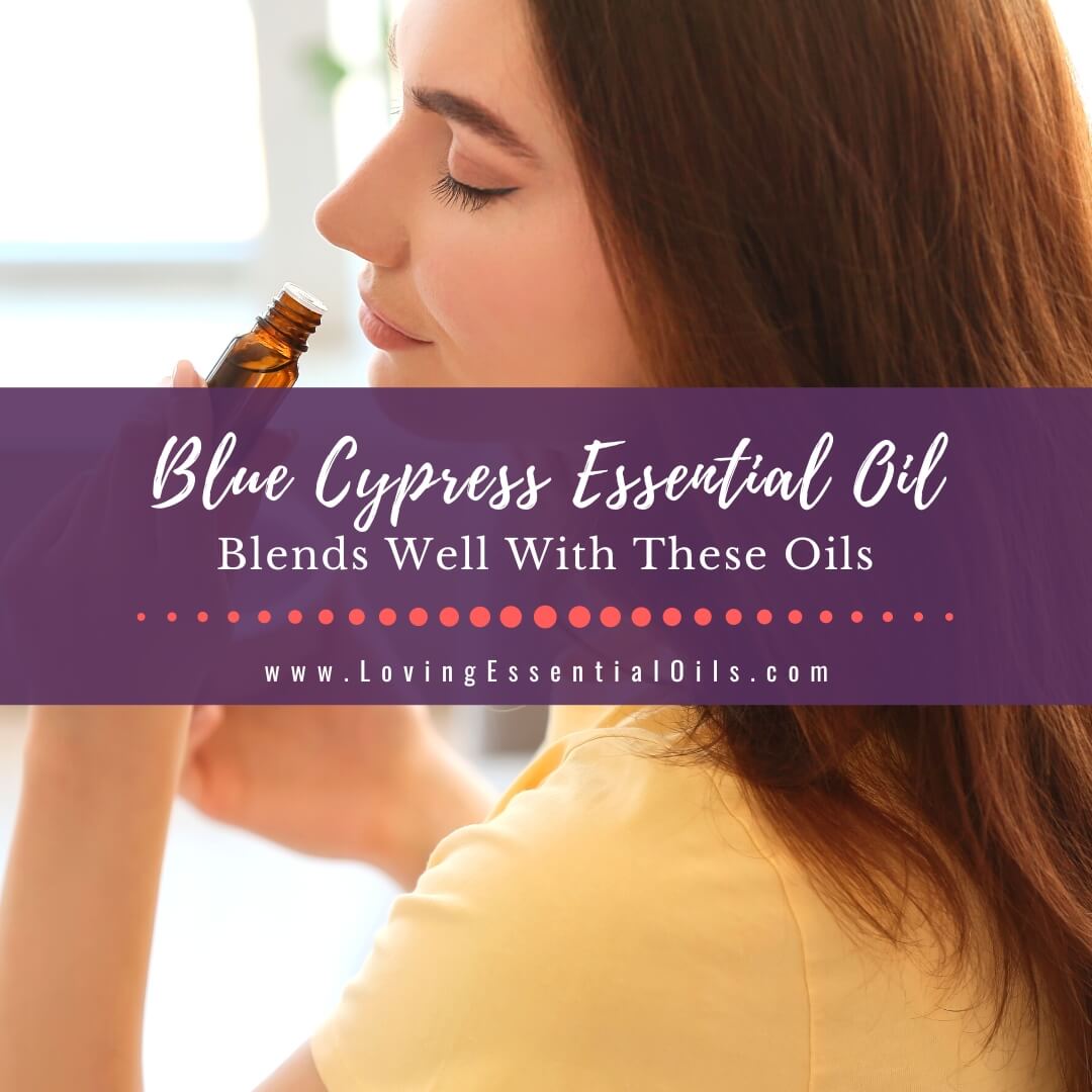 Blue Cypress Blends Well With These Oils - Diffuser Recipes by Loving Essential Oils