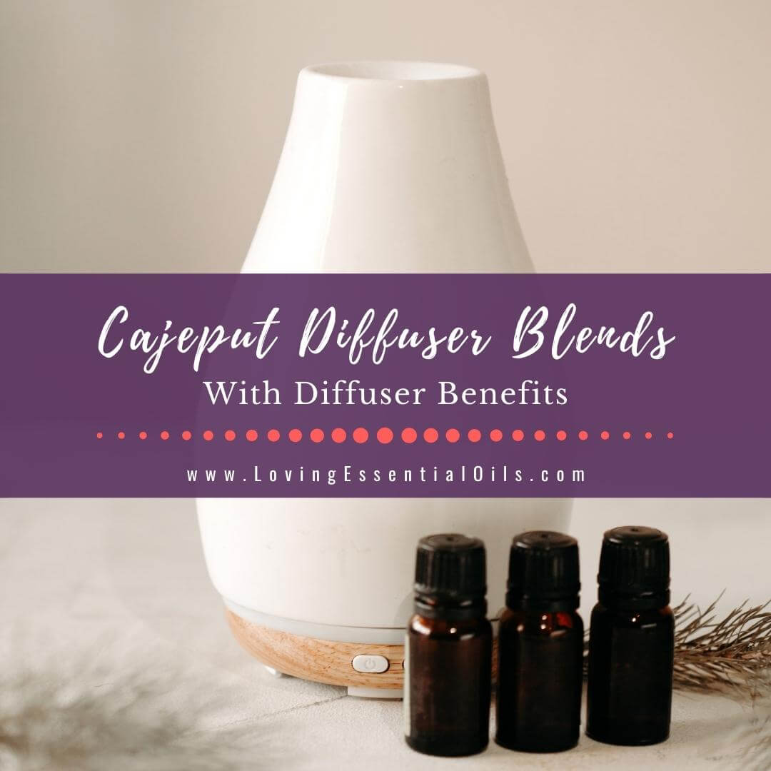 Cajeput Essential Oil Blends Well With + Diffuser Blend Recipes by Loving Essential Oils